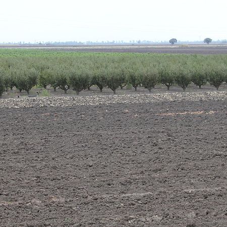 Agriturismo Silos Agri Βίλα San Severo Δωμάτιο φωτογραφία