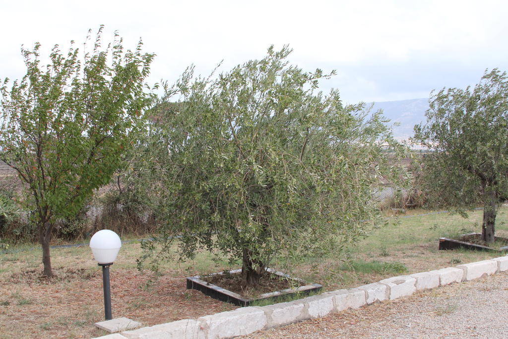Agriturismo Silos Agri Βίλα San Severo Εξωτερικό φωτογραφία