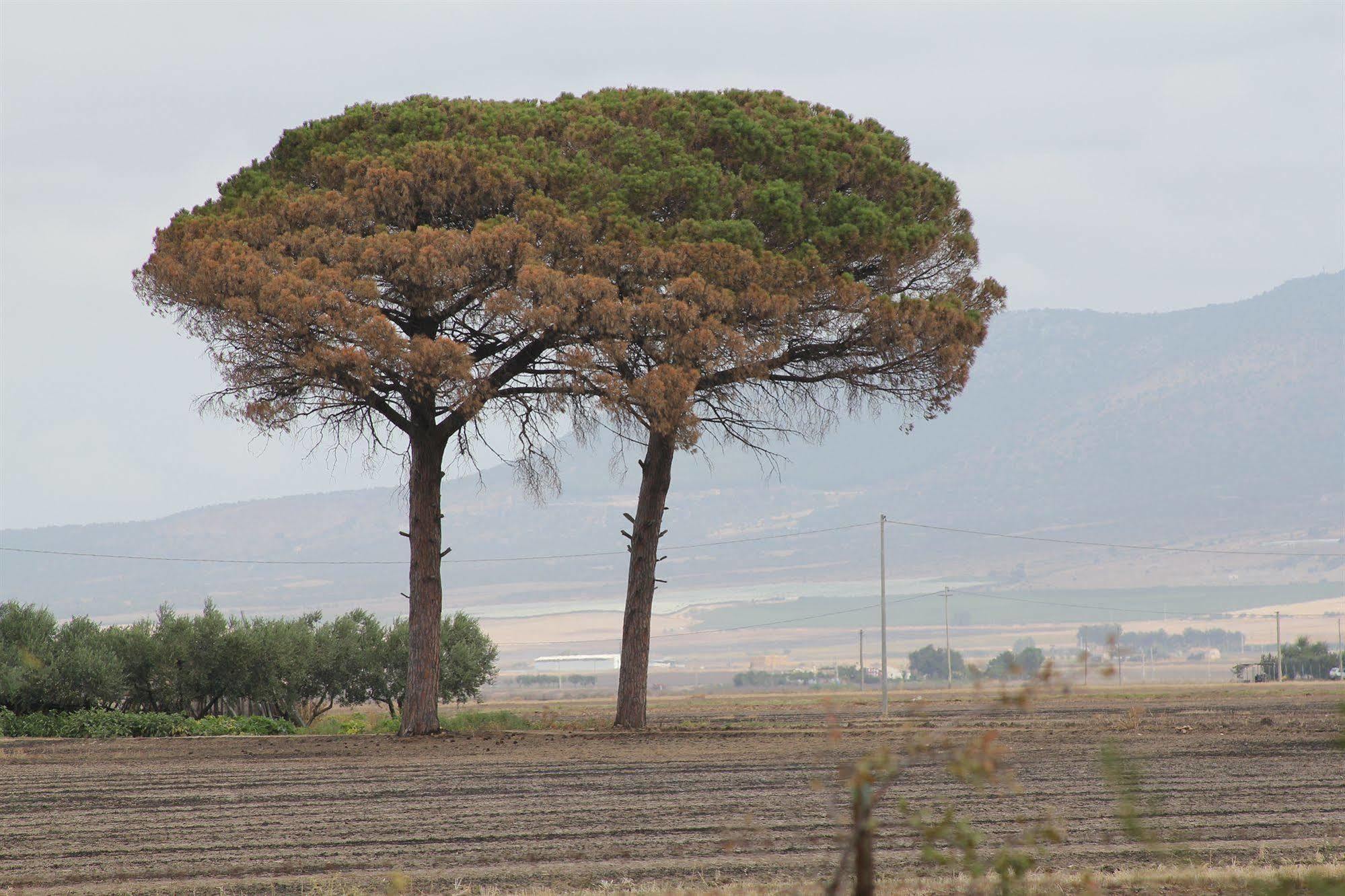Agriturismo Silos Agri Βίλα San Severo Εξωτερικό φωτογραφία