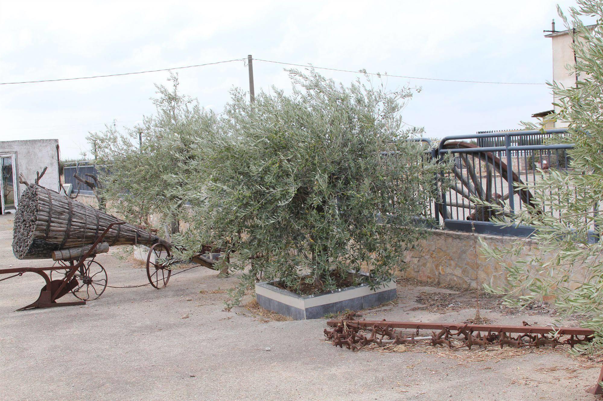 Agriturismo Silos Agri Βίλα San Severo Εξωτερικό φωτογραφία